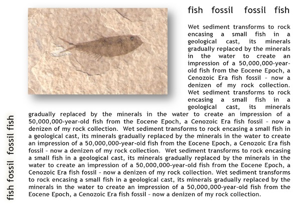 Fossil Fish